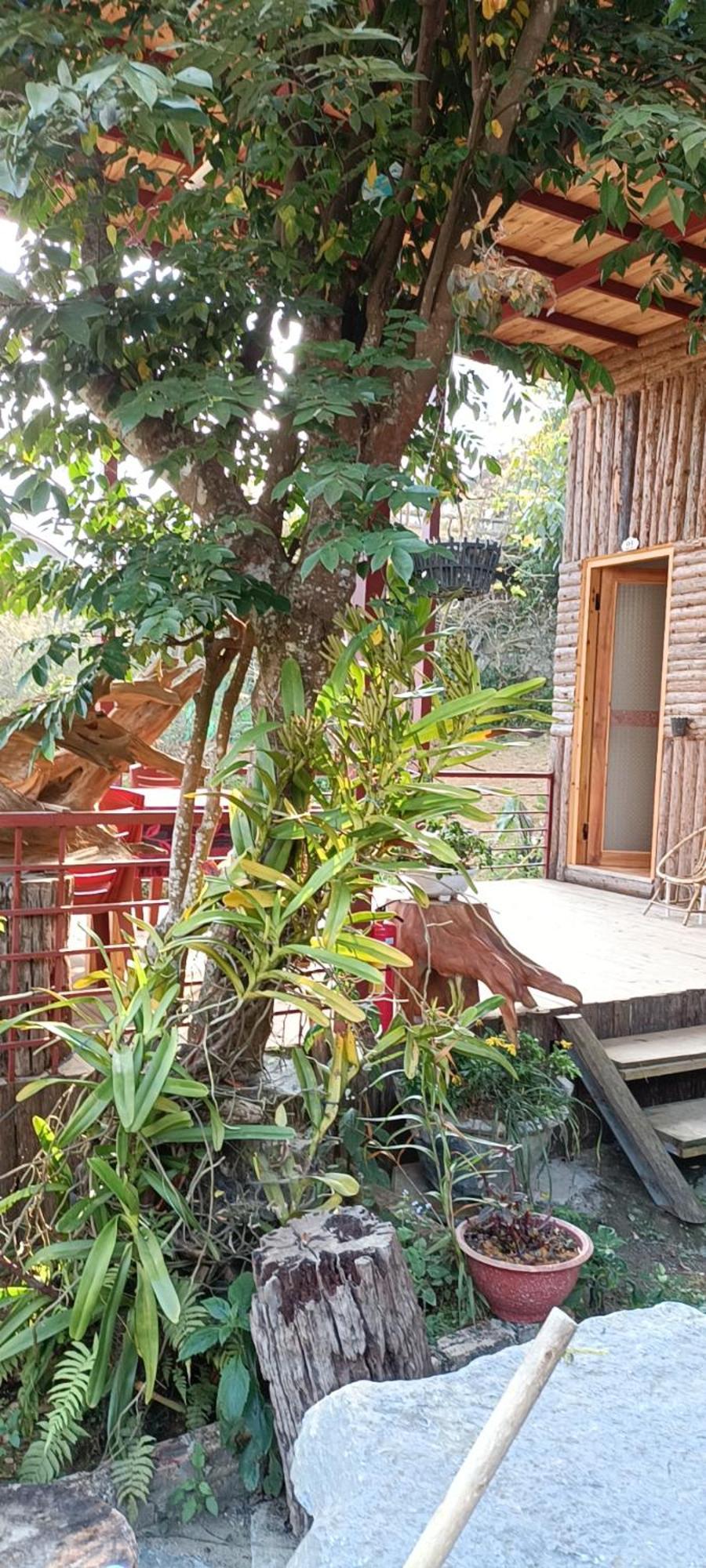 Hotel Moc'S House Bac Ha  Exterior foto